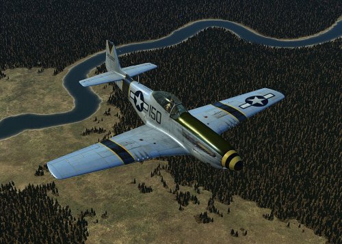 More information about "'Lil Butch' P51 D Mustang"