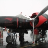 Picture 178.jpg