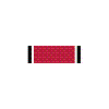 Kiev_ribbon.png