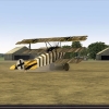 Good landing for WH_WolfP