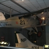 P1010081.JPG