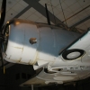 P1010074.JPG