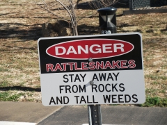 Rattlers!