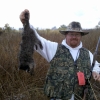 Pheasant hunting 2011 A