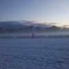 Pheasant hunting 2011 C