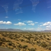 Arties phone pics 197