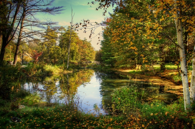 Glen Lake - Crystal River