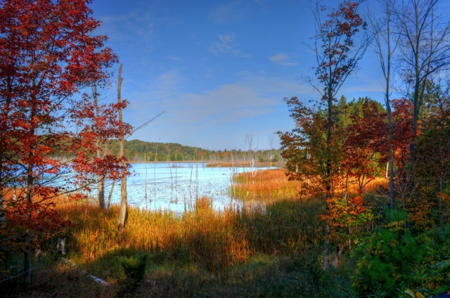 Narada Lake, Mi