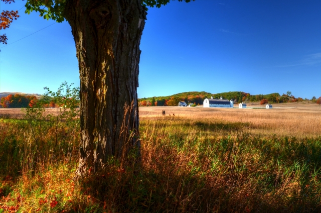 Day Farm, Glen Arbor, Mi