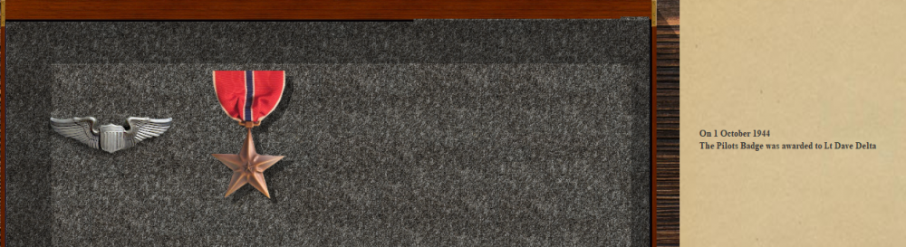 Deltas Bronze Star 18-10-44.PNG