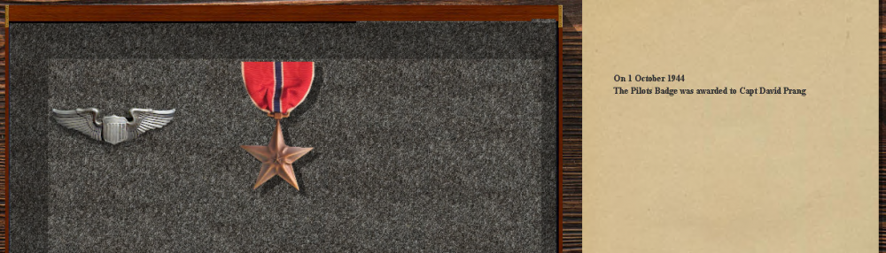 Crashs Bronze Star 15-10-44.PNG