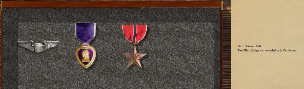 Perfs Bronze Star 18-10-44.PNG