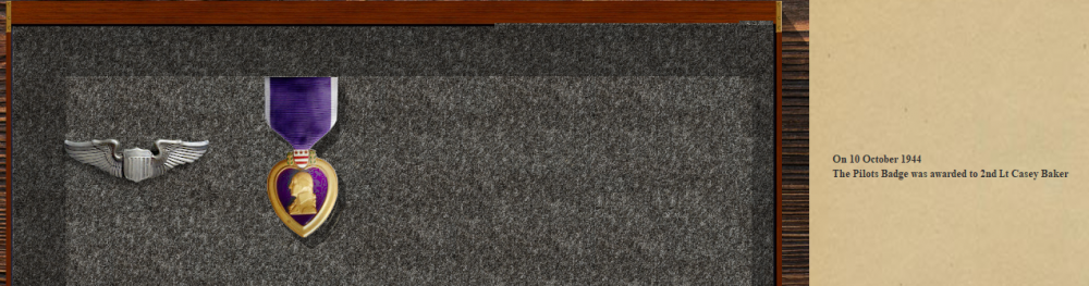 BluBears Purple Heart 18-10-44.PNG