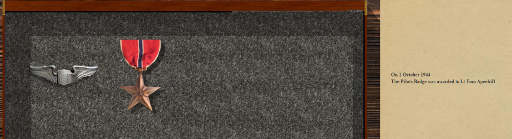 APs Bronze Star 18-10-44.PNG