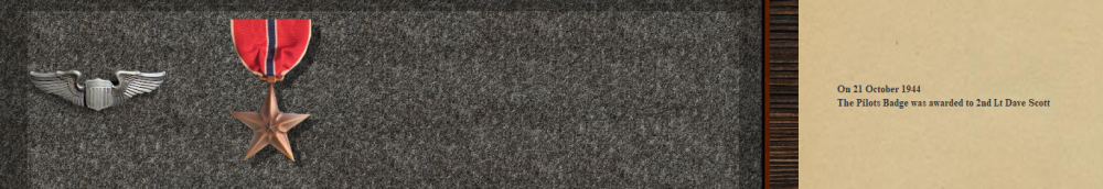 Deltas Bronze Star 11-11-44.PNG