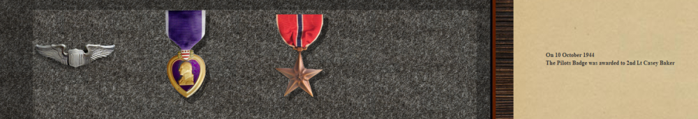 BluBears Bronze Star 08-11-44.PNG