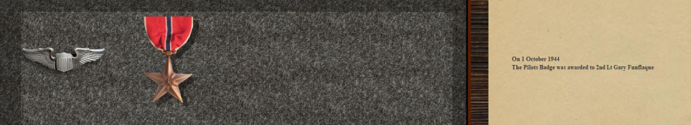 Funflaks Bronze Star 11-11-44.PNG