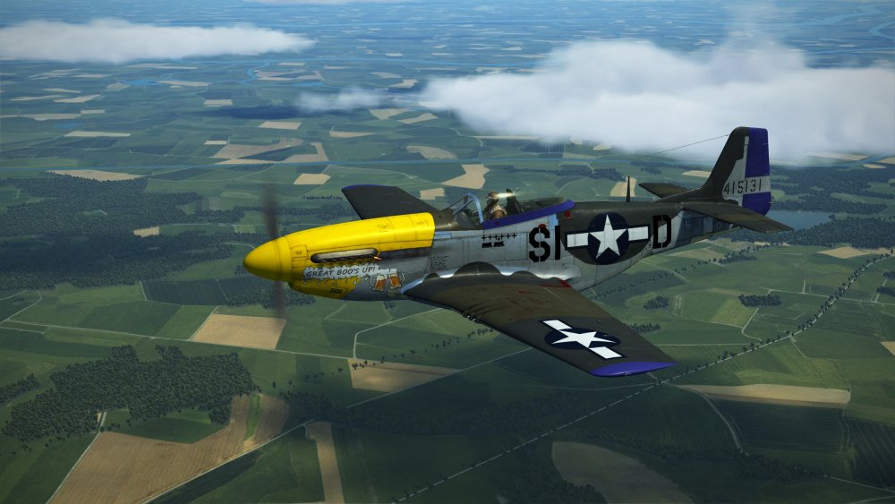 Sid's P51.jpg