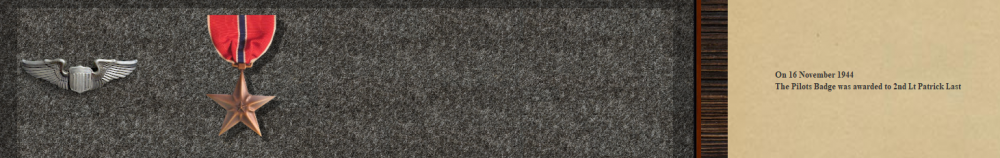 BluBears Bronze Star 16-11-44.PNG