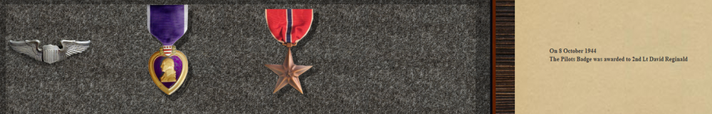 Reggie's Bronze Star 16-11-44.PNG