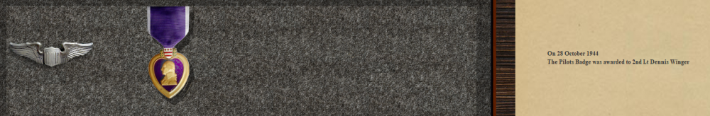 Wingy's Purple Heart 16-11-44.PNG