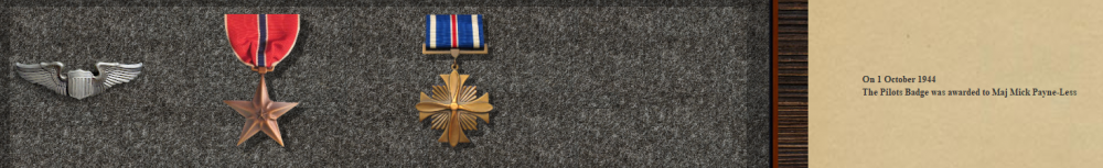 Mick's DFC 16-11-44.PNG