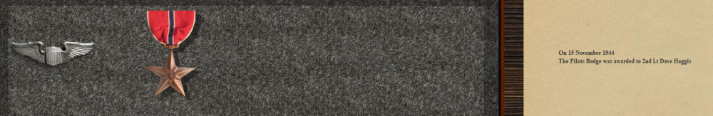 Deltas Bronze Star 16-11-44.PNG