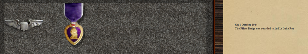 Roxs Purple Heart 15-11-44.PNG