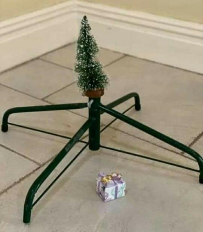 WhatsApp Image 2020-12-15 at 09.18.19.jpeg