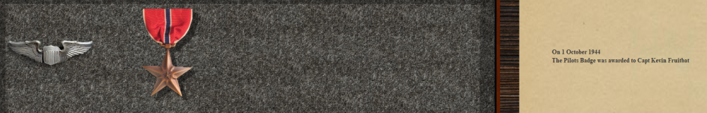 Fruitbat's Bronze Star 28-11-44.PNG