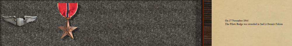 Wingflyrs's Bronze Star 28-11-44.PNG