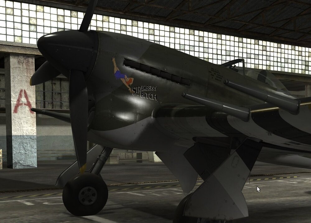 Painless noseart.jpg