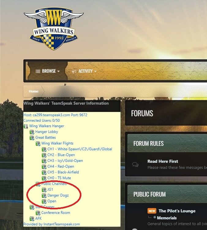 Wing Walkers TS3 Listing.jpg