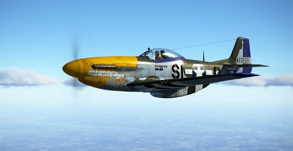 P51 1.jpg